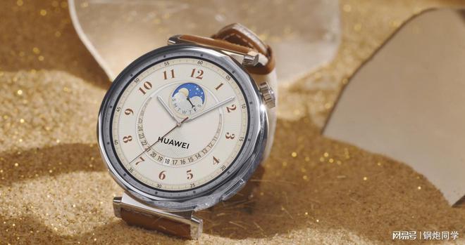 海內(nèi)外雙冠王2024年華為穿戴再登全球第一(圖3)